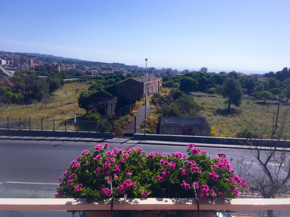 B&B Policlinico Gaspare Rodolico CTA Exterior photo